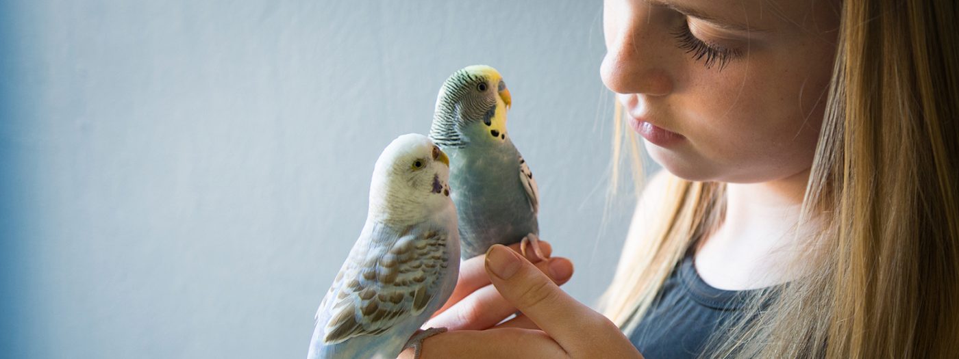 girl holding love birds