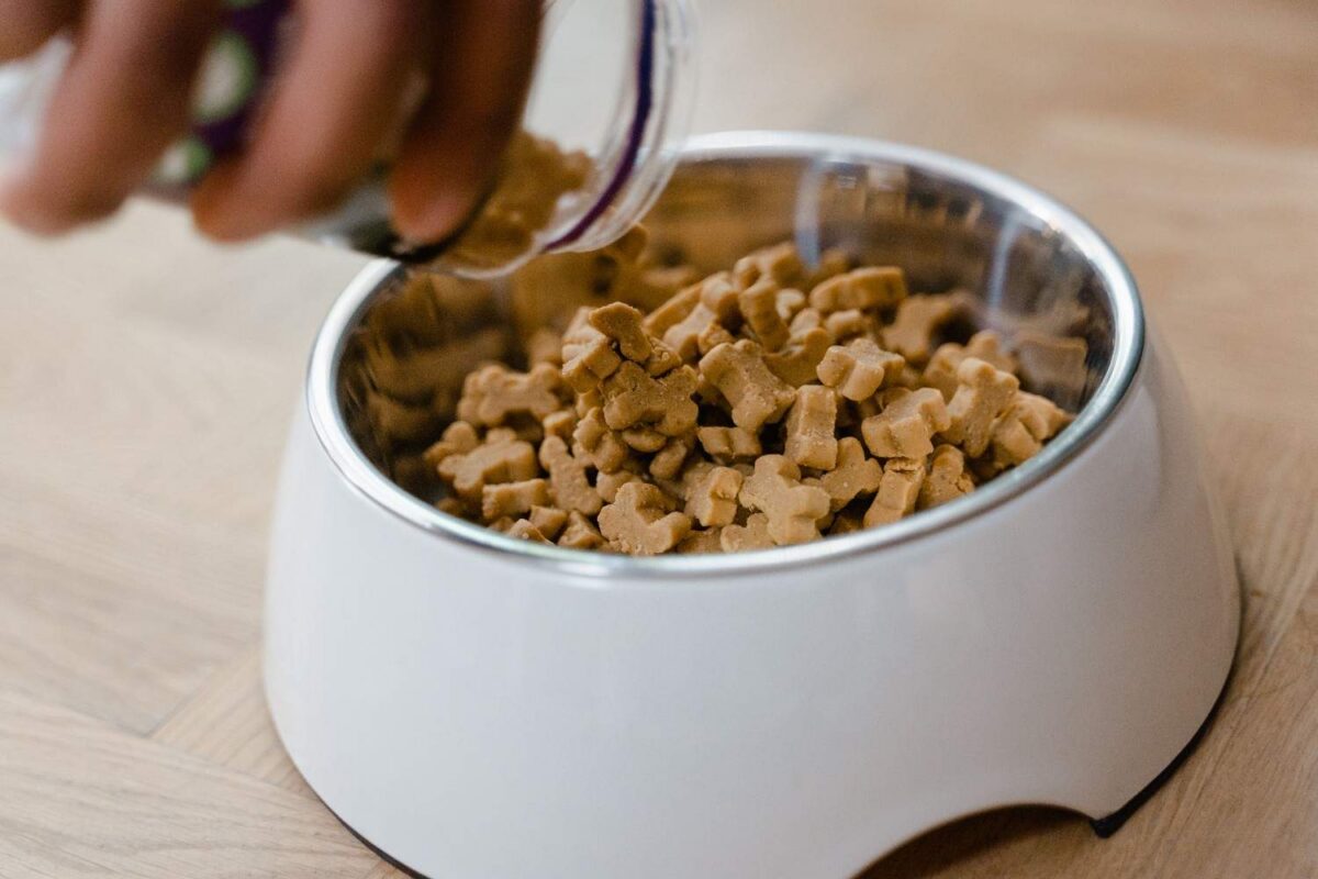 Close-up of hand pouring dog biscuits into a bowl